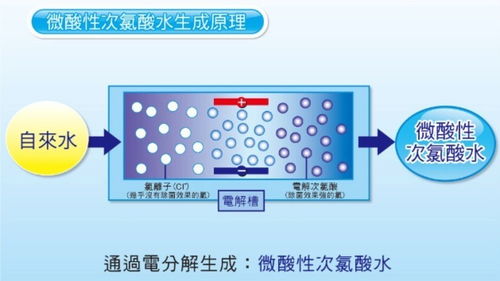 家用洗地機到底好不好用 專業旗艦級洗地機推薦